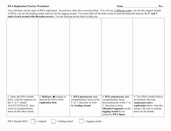 Dna helix worksheet double chessmuseum coloring