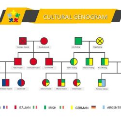 Cultural genograms chart culture-specific information such as