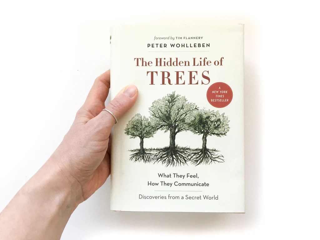 The hidden life of trees by peter wohlleben reading answers