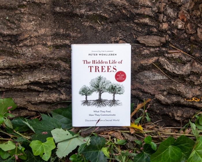 The hidden life of trees by peter wohlleben reading answers